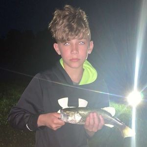 Meet your Posher, Damian